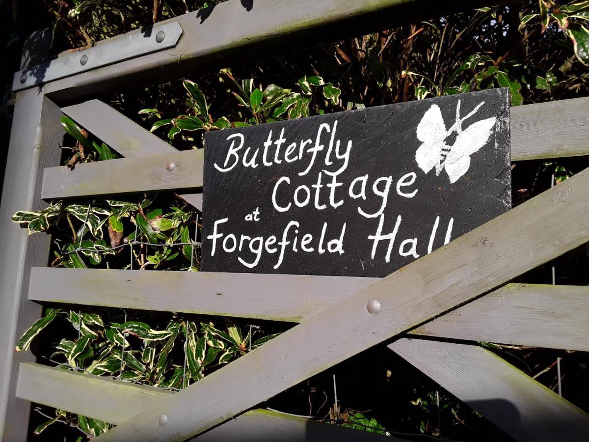 Butterfly Cottage Redruth Exterior foto